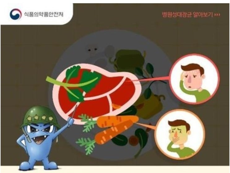  안산 유치원 식중독 햄버거병 용혈성요독증후군 증상