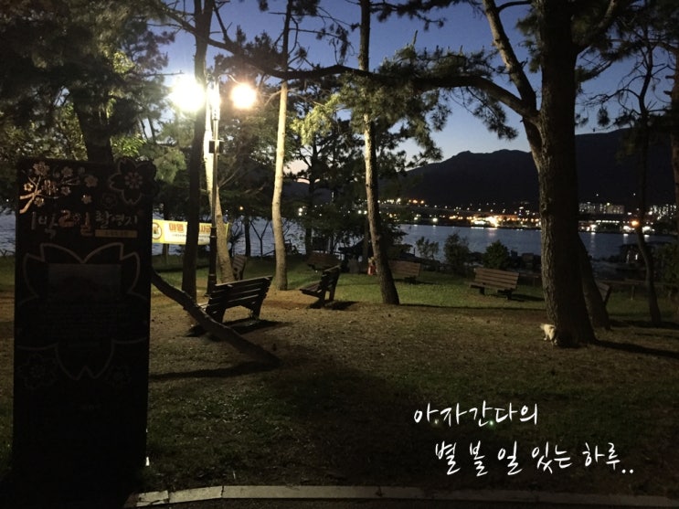  명동 닭튀김 포장해서 진해 소죽도 공원 나들이