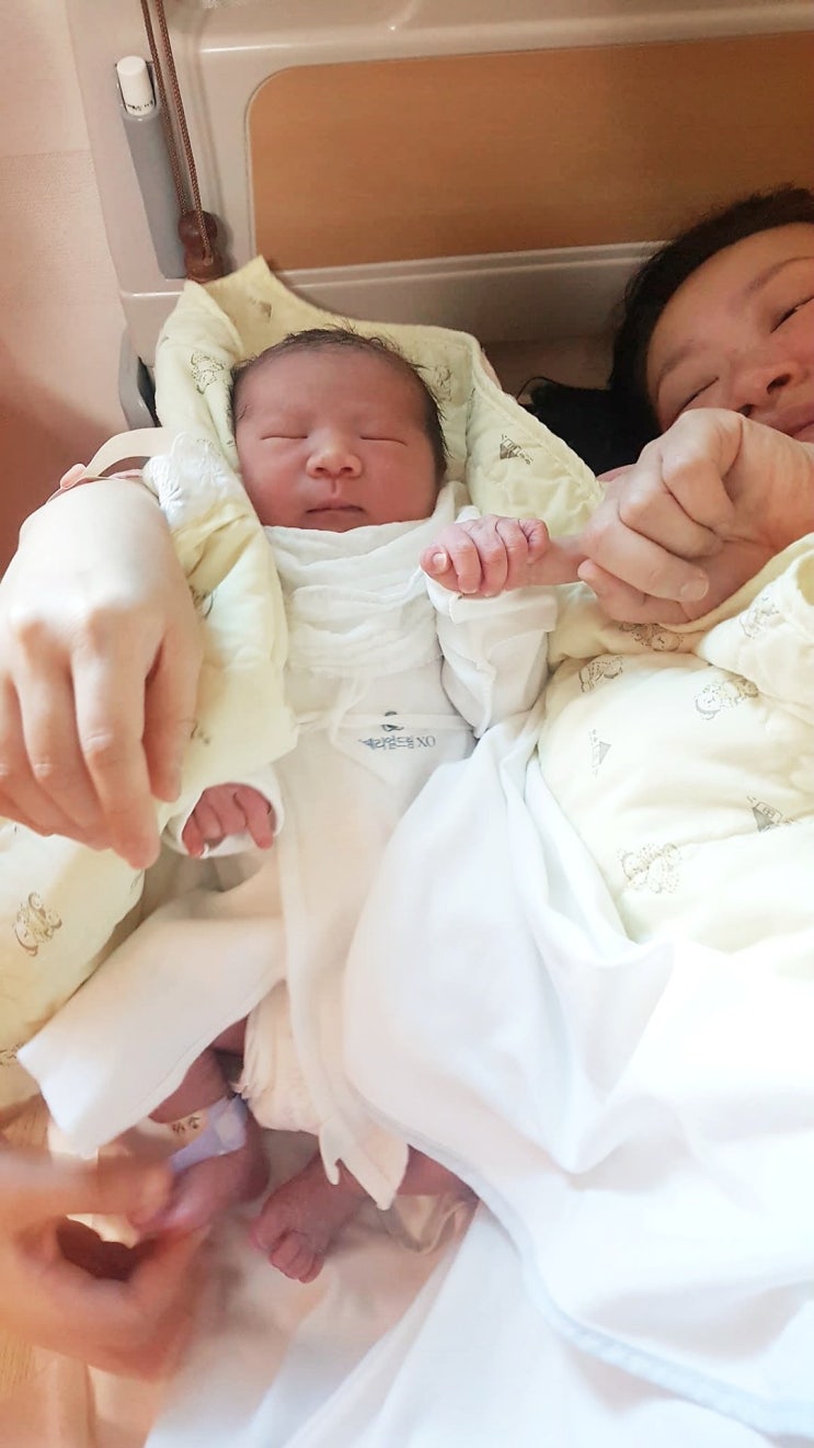  6월 25일 웅s의 성장일기