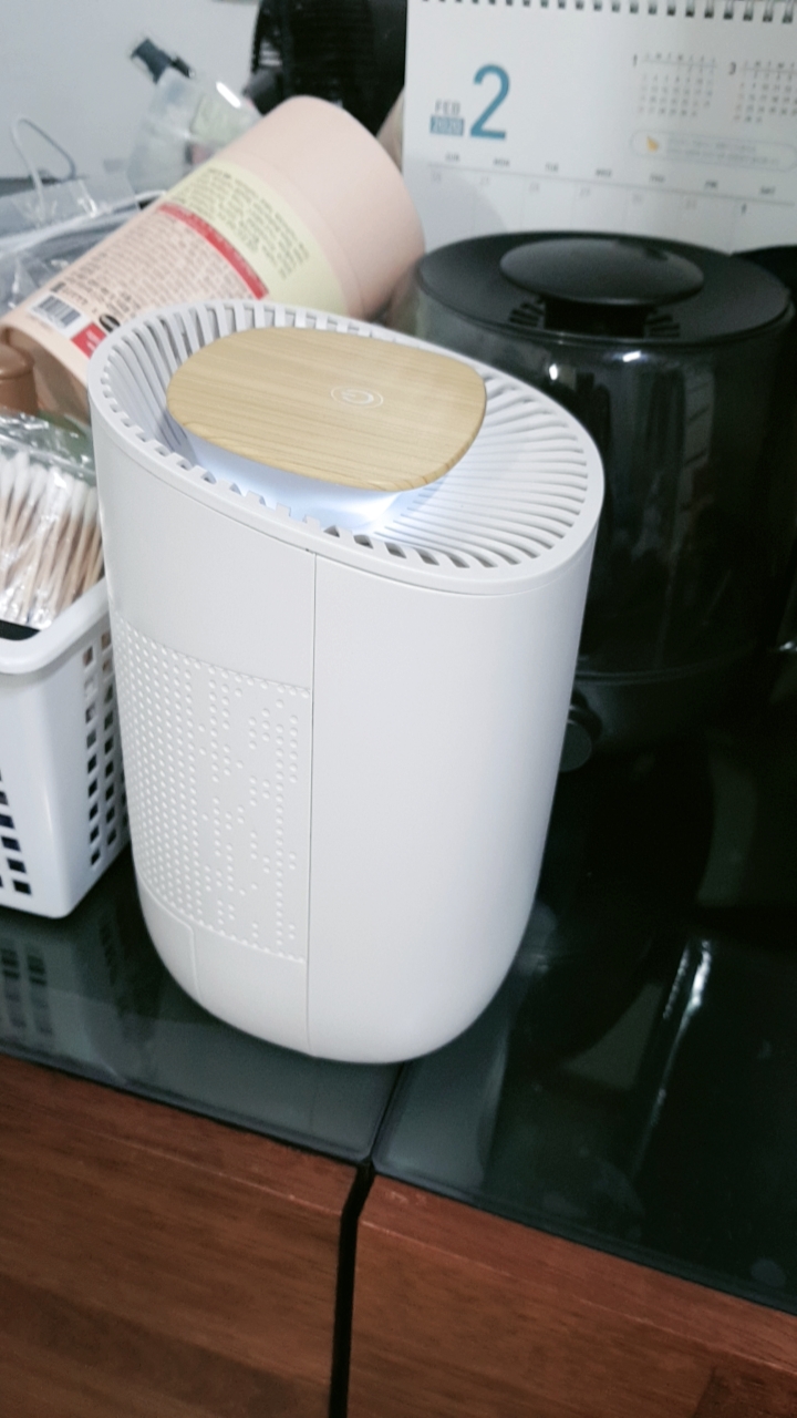  내돈주고 산 후기) 보아르 모아 M600 미니 제습기 300ml