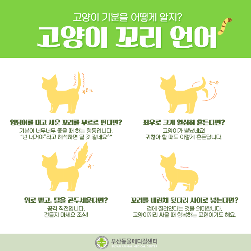 고양이꼬리언어에 숨겨진 7가지 비밀 (고양이특징, 행동습성 탐구) : 네이버 블로그 고양이가 꼬리를 떠는 이유는? 고양이 꼬리 표현 방법 <부산대표동물병원, 부산동물메디컬센터> : 네이버 블로그” style=”width:100%” title=”고양이가 꼬리를 떠는 이유는? 고양이 꼬리 표현 방법 <부산대표동물병원, 부산동물메디컬센터> : 네이버 블로그”><figcaption>고양이가 꼬리를 떠는 이유는? 고양이 꼬리 표현 방법 <부산대표동물병원, 부산동물메디컬센터> : 네이버 블로그</figcaption></figure>
<figure><img decoding=