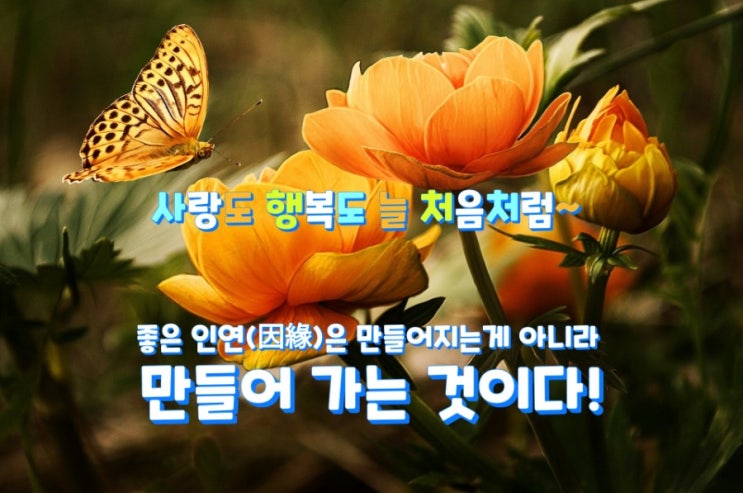 좋은 인연(因緣)은 만들어지는게 아니라 만들어 가는 것이다! 좋은 인연(因緣)은 만들어지는게 아니라 만들어 가는 것이다!