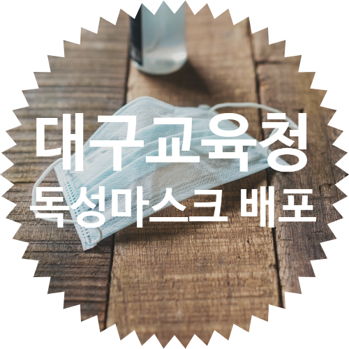대구교육청 독성물질 마스크 필터 300만장 배포