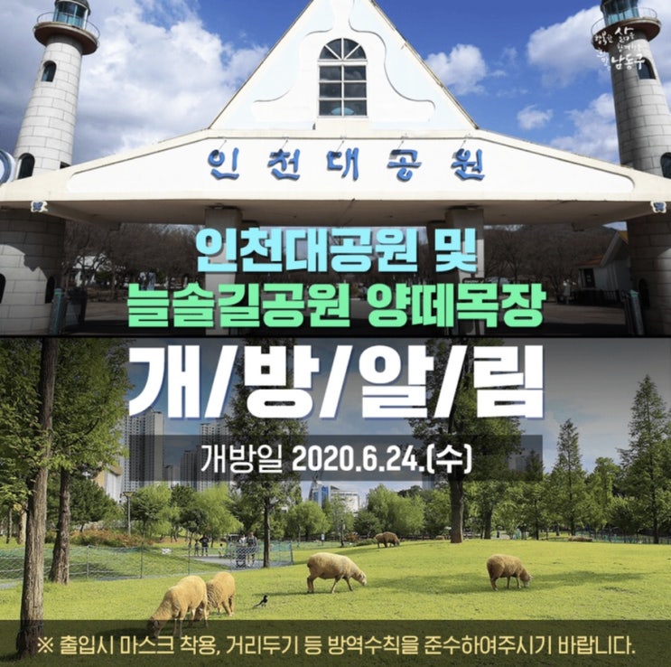 인천대공원 개방 했네요
