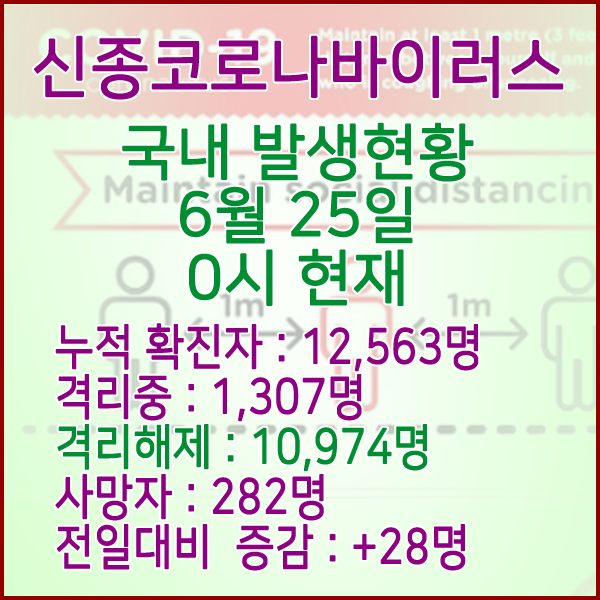  코로나19(코로나바이러스) 6월 25일 0시 국내 발병 12,563명 / 10,974명 완치 격리해제 / 사망자 282명