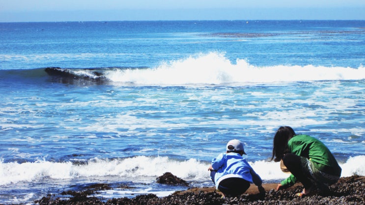  Santa Cruz 1 | Natural Bridges Beach & Discovery Center in 산타 크루즈