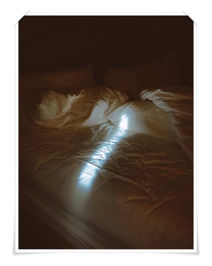 이불꿈 해석을 해보자 이불꿈 해석을 해보자