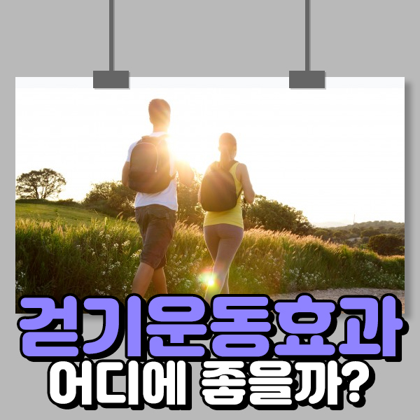  걷기운동효과 어디에 좋을까?
