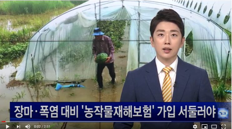 장마·폭염 대비 ‘농작물재해보험’ 가입 서둘러야 / NBS한국농업방송
