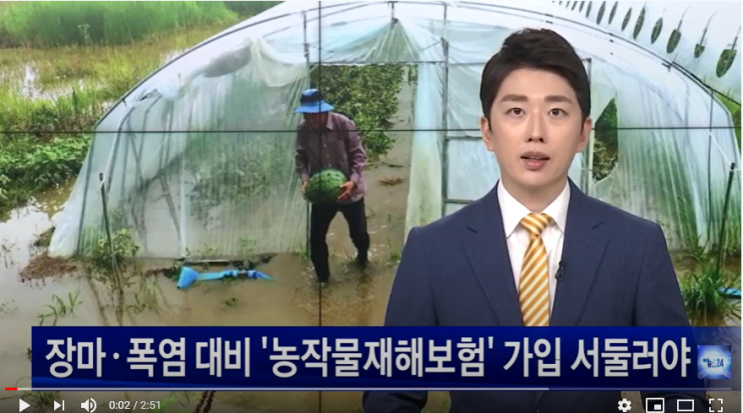 장마·폭염 대비 ‘농작물재해보험’ 가입 서둘러야 / NBS한국농업방송 장마·폭염 대비 ‘농작물재해보험’ 가입 서둘러야 / NBS한국농업방송