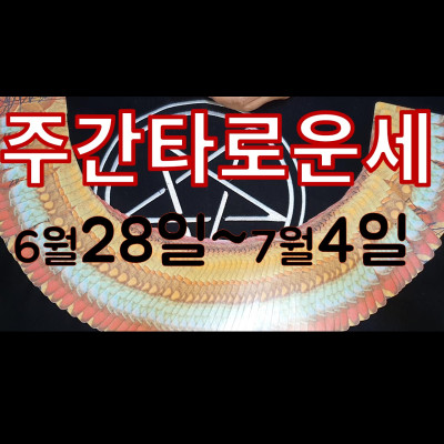  무료주간운세 6월28일~7월4일 타로카드로 보는 한주간나에게생길일,분당유명한타로 청담동마님  