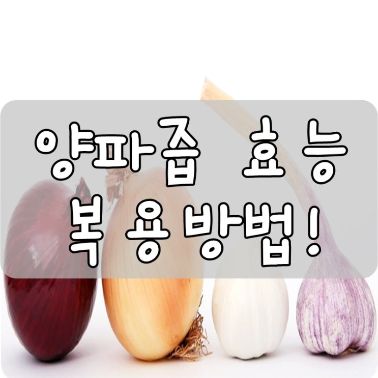  무안양파즙 효능 양파즙복용법 알고 먹으니 더 건강해요!
