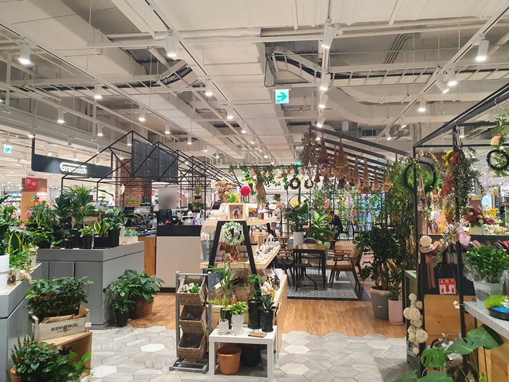  [아빠 일상] 롯데마트 남악점! 밥 먹고 커피 먹고! 더위야 가라