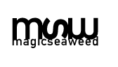 서핑 기초 배우기 - 서핑초보 MSW 파도 차트 보는 방법