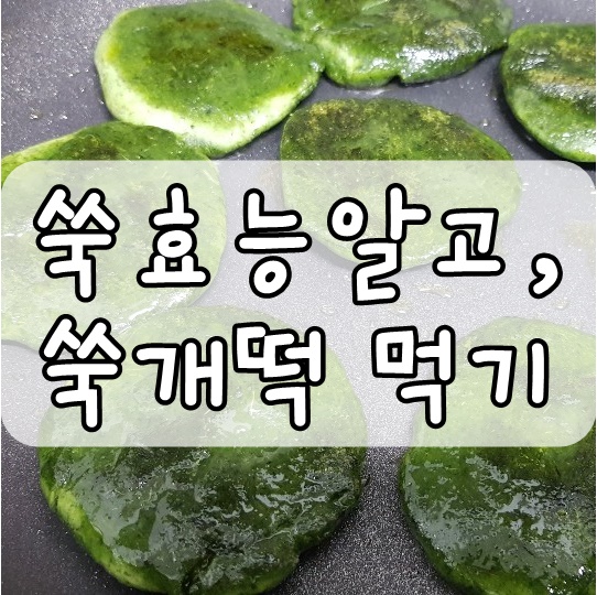  쑥효능 알고 쑥개떡 만들어 먹어요~!