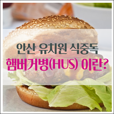 안산 유치원 식중독 사건 햄버거병에 대해 알아봅시다.