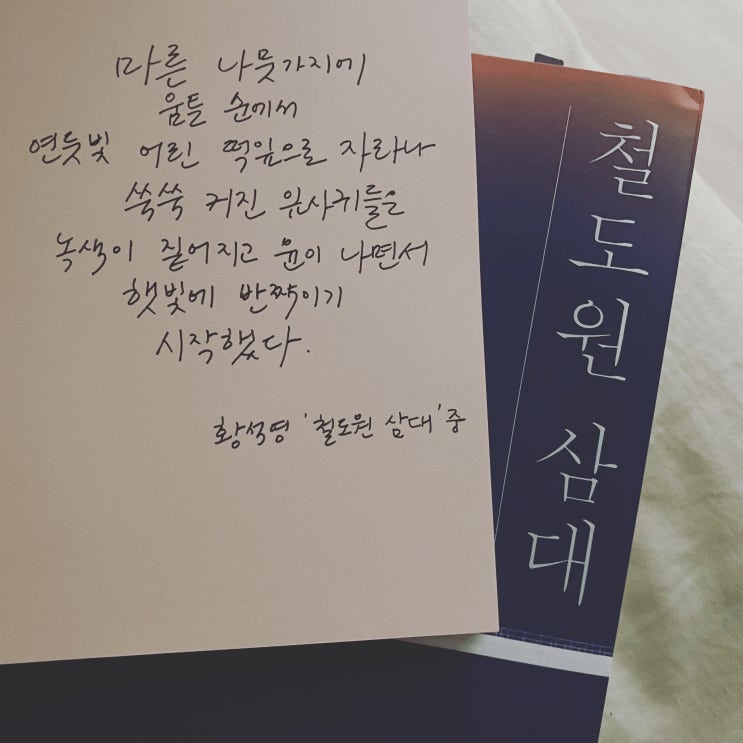  책장 속 한 줄: 황석영 '철도원 삼대' 1