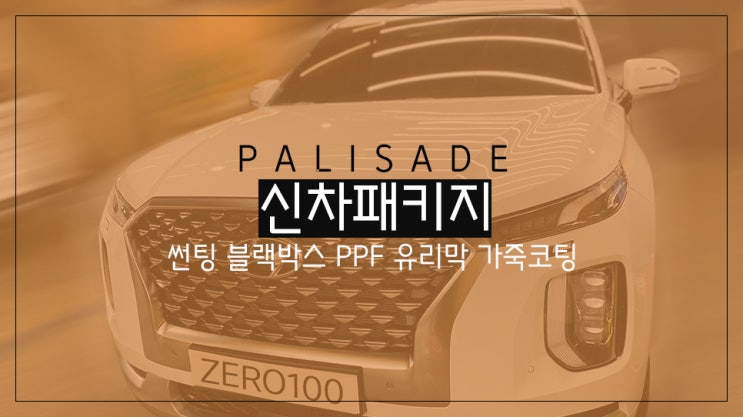  팰리세이드 신차 패키지 (글라스틴트 로데 썬팅/나노커버 울트라쉴드 생활보호 PLUS PPF/나노세라믹 9H 유리막코팅/파인뷰 LX3000 블랙박스/가죽코팅) / 영등포신차패키지
