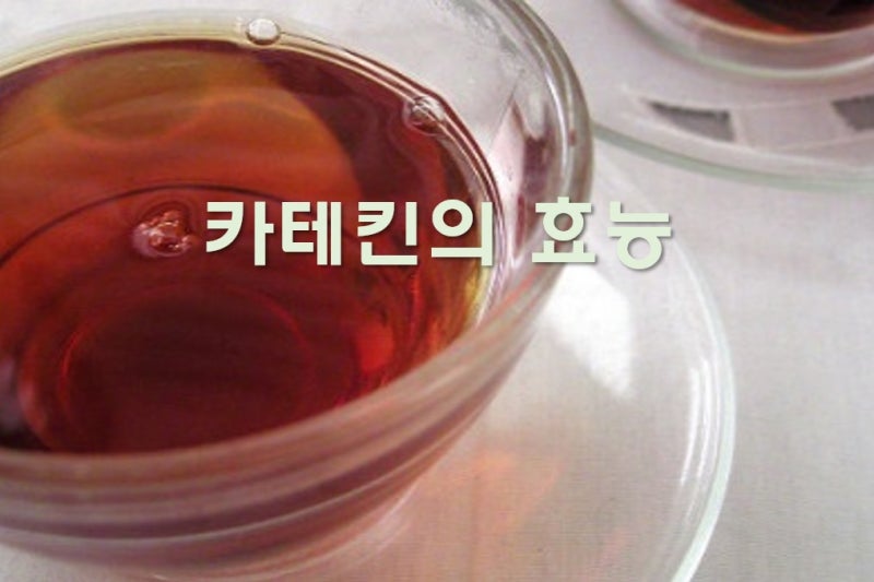 현미 녹차와 녹차 가루 효능 : 네이버 블로그 현미 녹차와 녹차 가루 효능 : 네이버 블로그