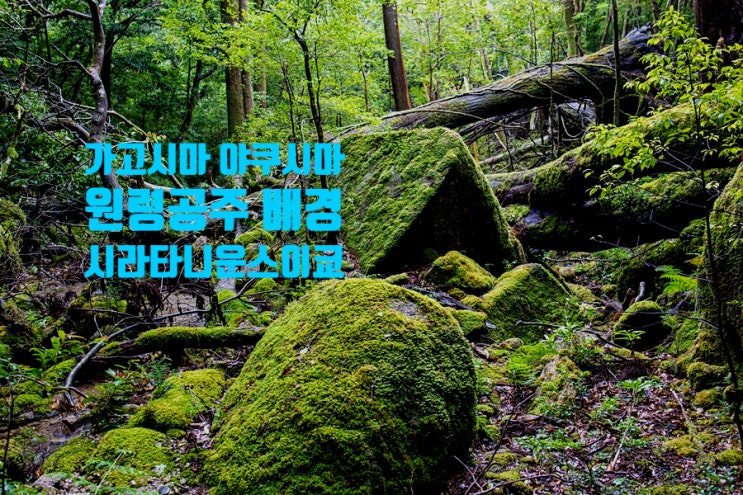 가고시마 여행 <원령공주> 배경 바로 그곳 야쿠시마 시라타니운스이쿄 가고시마 여행 <원령공주> 배경 바로 그곳 야쿠시마 시라타니운스이쿄