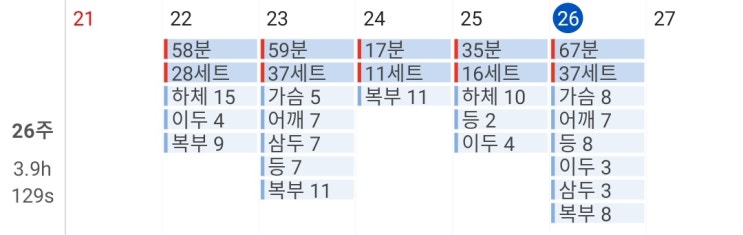  [헬스 13일차] 금요일은 가슴, 등, 삼두