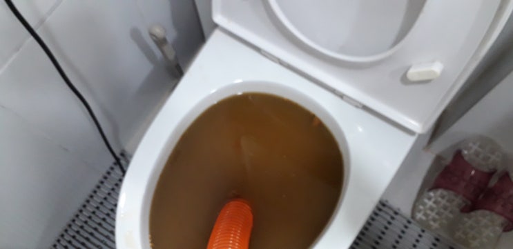 화장실 변기 막혔을때 공용부 막힘 인지 확인 하는 방법