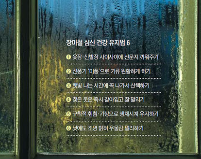  선풍기와 조명으로 '장마철 우울'을 잡는다?