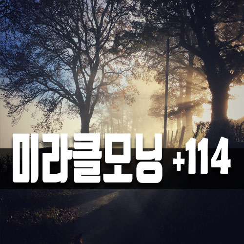  오늘은 미라클모닝 반복루틴만 114일차!