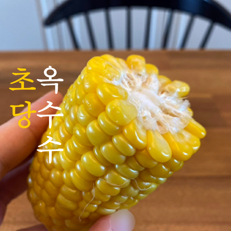  초달아서! 초당 옥수수 인가? 마켓컬리 초당옥수수, 옥수수찌는법