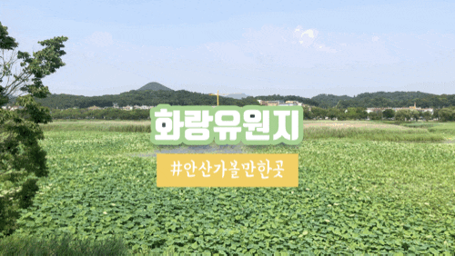 안산 가볼만한 곳 화랑유원지 다녀왔어요