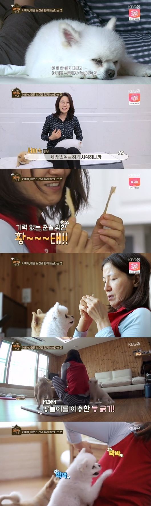 '나는 아픈 개와 산다' 서이숙x채리나, "반려견=가족, 오래오래 함께했으면" 서이숙 채리나가 일상을공개 '나는 아픈 개와 산다' 서이숙x채리나, "반려견=가족, 오래오래 함께했으면" 서이숙 채리나가 일상을공개