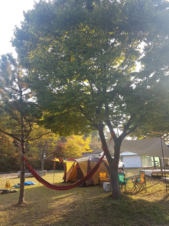 선장그린관광농원 사진 3