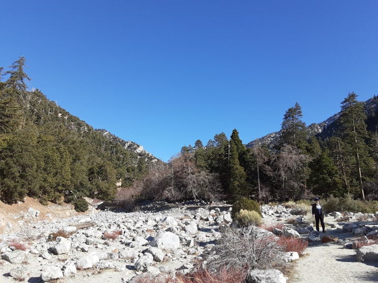  Big Bear Lake & Lake Arrowhead 주변 하이킹 | Big Falls