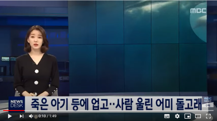 죽은 아기 등에 업고…사람 울린 어미 돌고래 / MBC 뉴스 죽은 아기 등에 업고…사람 울린 어미 돌고래 / MBC 뉴스