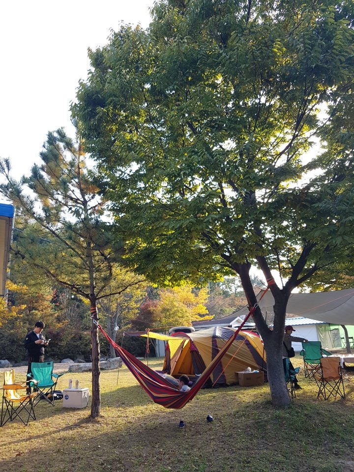 선장그린관광농원 사진 1