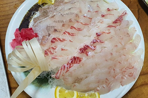 탐라옵데강 이미지