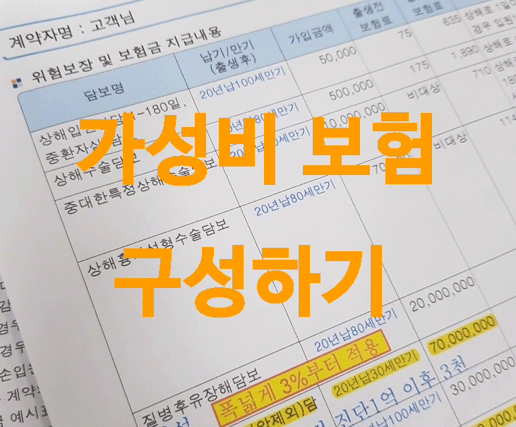  가성비 보험 구성하기.