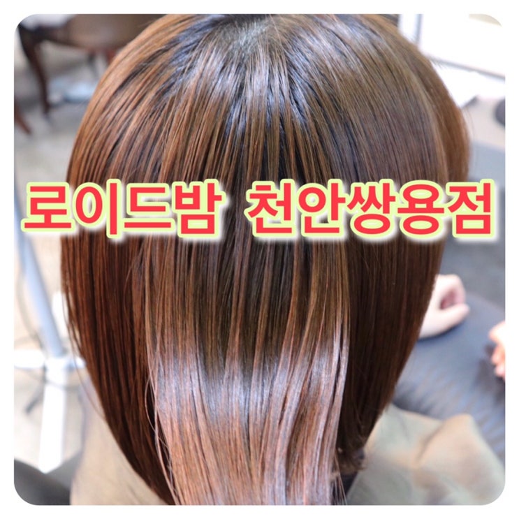  쌍용동미용실 로이드밤 천안쌍용점에서 클리닉 후 머릿결 찰랑찰랑 ^^