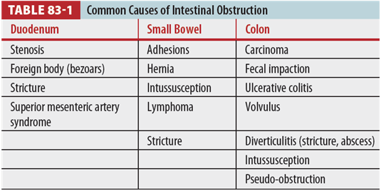 응급의학 - Ch.83 Bowel Obstruction (장폐색)