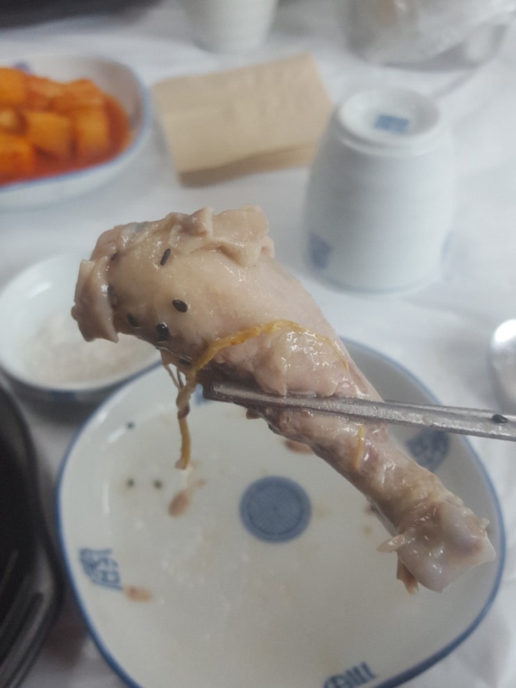  강화도 맛집 발굴 중 [송화삼계탕]
