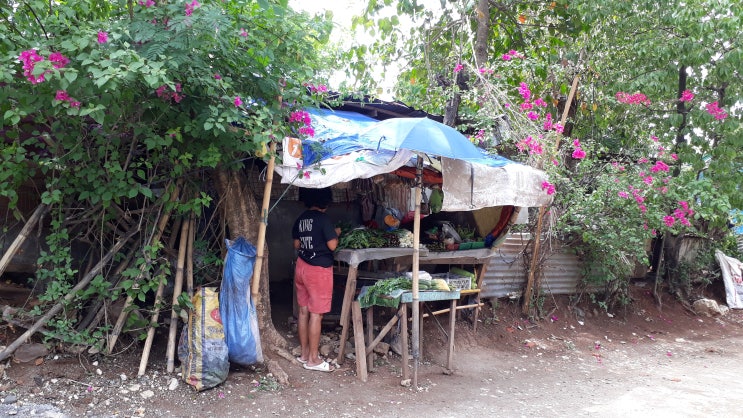 필리핀 코로나 봉쇄로 생활이 어려워 많아진 노점상들