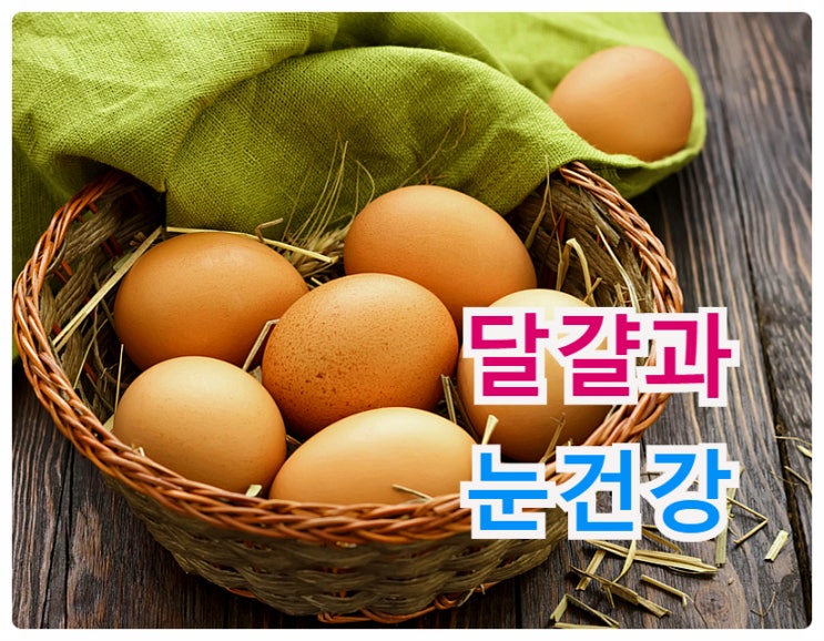 루테인효능!   눈에 좋은 음식- 달걀..