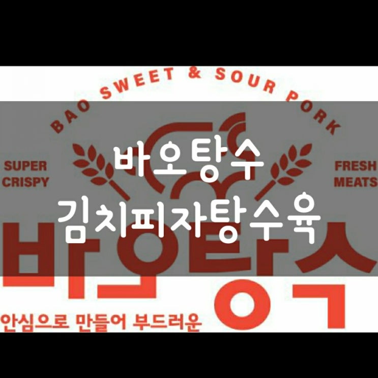  (의정부) 바오탕수 김치피자탕수육