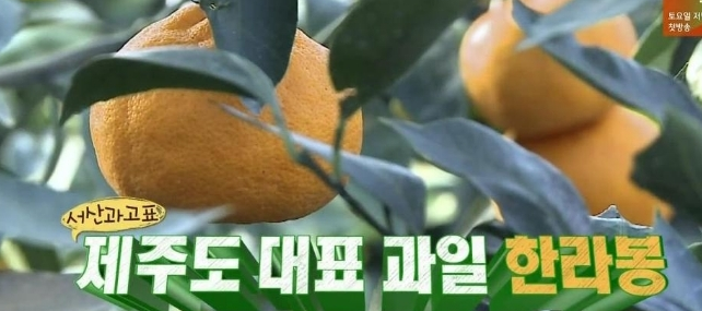 뭐든 착하게 먹는 김희원 뭐든 착하게 먹는 김희원