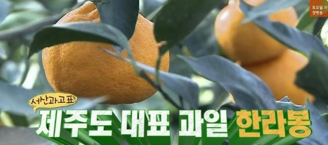 뭐든 착하게 먹는 김희원