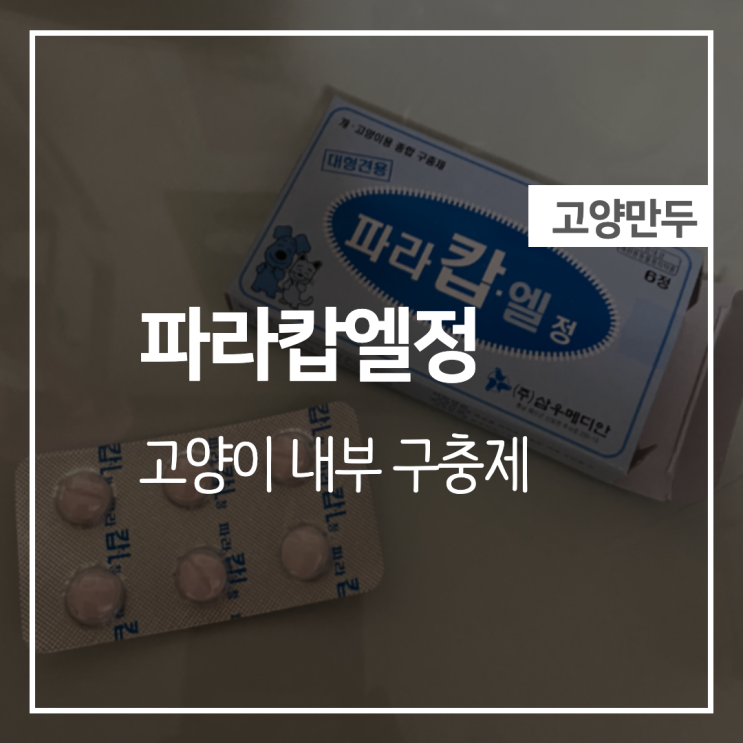  [파라캅엘정] 고양이 구충제 쉽게 먹이는 방법!!