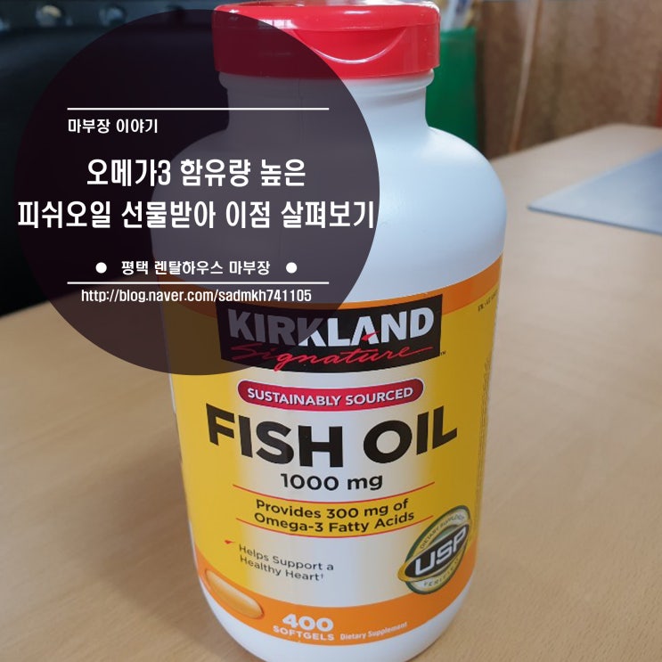  오메가3 함유량 높은 피쉬오일 선물 받은 후기와 그 이점은