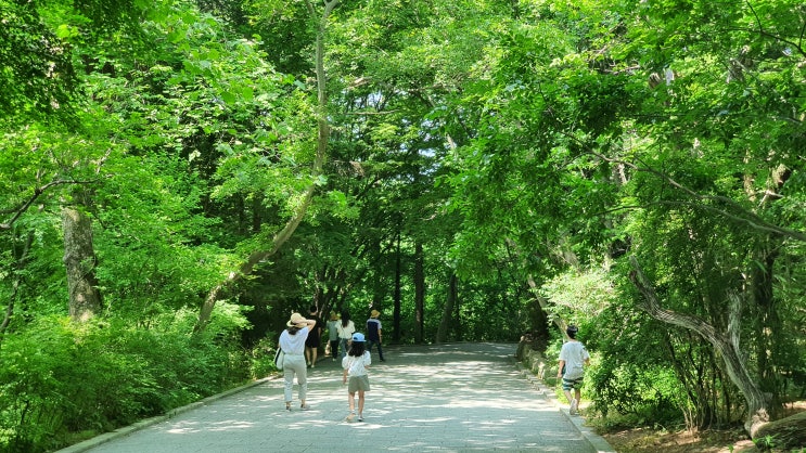  불국사 2020 입장료 그리고, 요즘 바뀐점