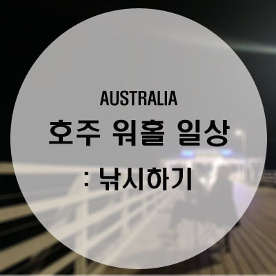  [호주 워홀 일상] 브리즈번 낚시 / 호주에서 낚시하기 / 브리즈번 낚시 포인트 ː숀 클리프