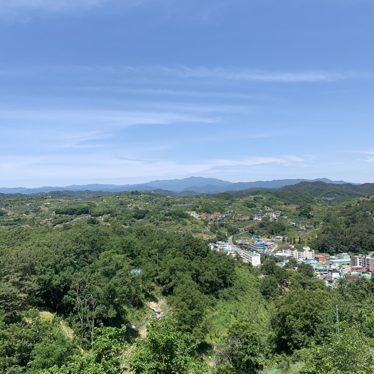 한달째 매일 아침 가벼운 등산 후 변화!